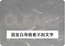因发白导致看不到文字